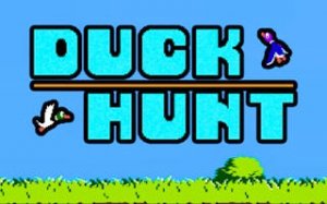 Duck Puzzle Hunt Arcade