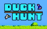 Duck Hunt Puzzle Arcade