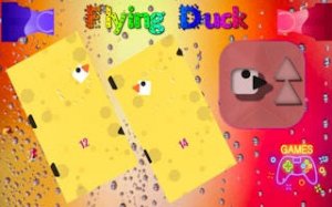 Duck Flight Arcade Challenge