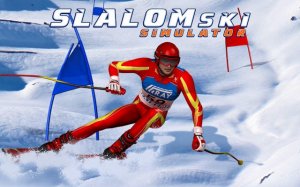 Slalom Ski Simulator - Free Online Skiing Game