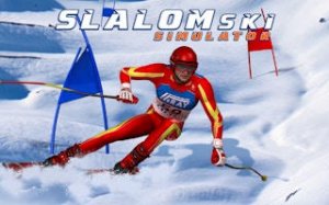 Slalom Ski Racing Arcade Game