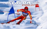 Slalom Ski Simulator Arcade Game