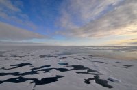 Arctic's Rapid Shift: A Decade of Unprecedented Change